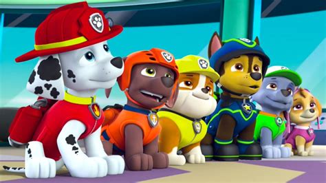 paw patrol full episodes|full episodes paw patrol free.